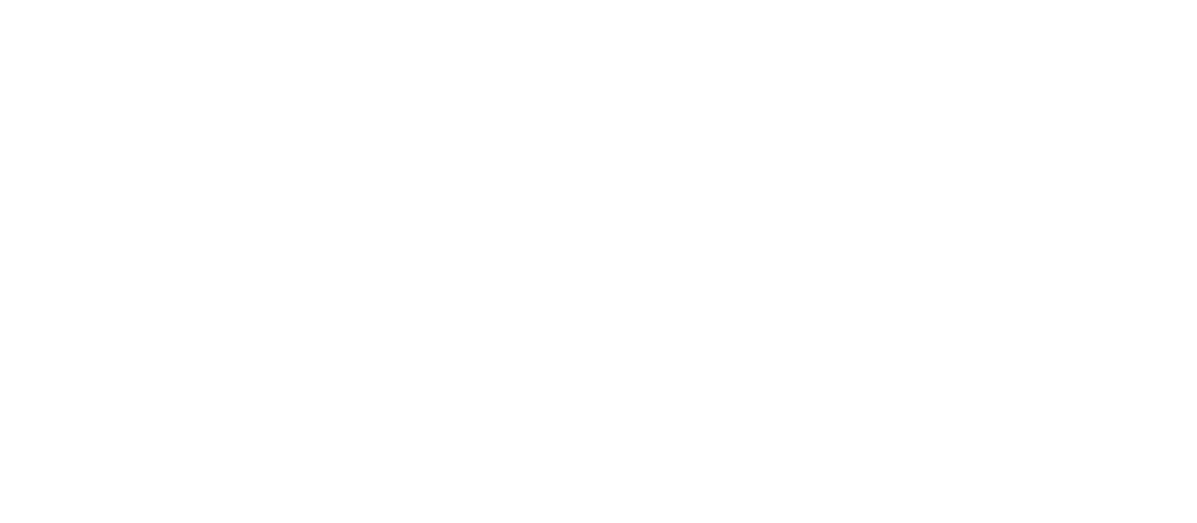 Calant Digital Logo